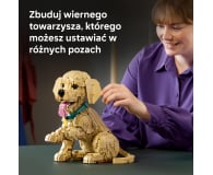 LEGO ICONS 11384 Szczeniak golden retriever - 1488997 - zdjęcie 5
